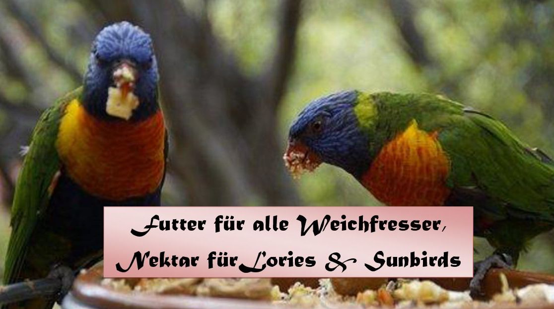 Weichfresser - Produkte /Lori/Nektar
